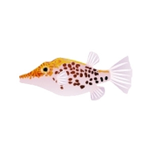 Leopard Toby Puffer